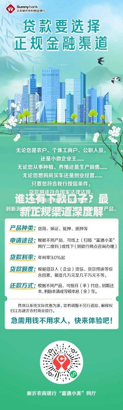谁还有下款口子？最新正规渠道深度解析