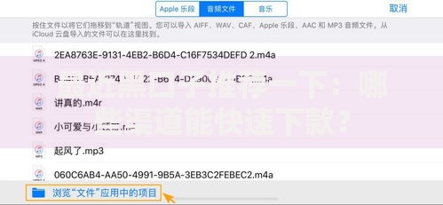 最近黑口子推荐一下：哪些渠道能快速下款？