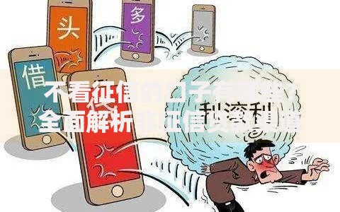 不看征信的口子有哪些？全面解析非征信贷款渠道