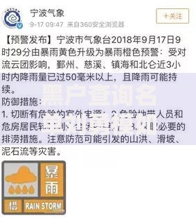 黑户查询名单刘勇模如何影响个人贷款申请及应对方案