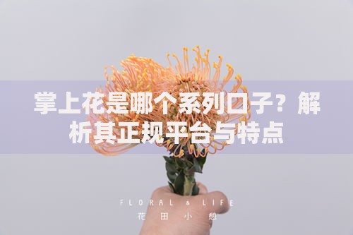掌上花是哪个系列口子？解析其正规平台与特点