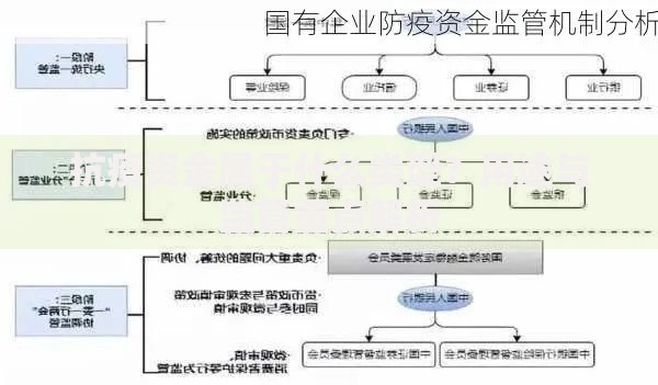 抗疫资金属于什么类型？用途与监管重点解析