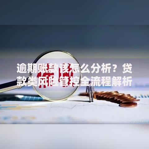 逾期账款该怎么分析？贷款类风险管控全流程解析