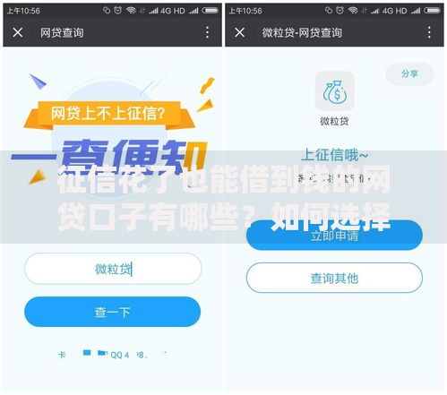 征信花了也能借到钱的网贷口子有哪些？如何选择？