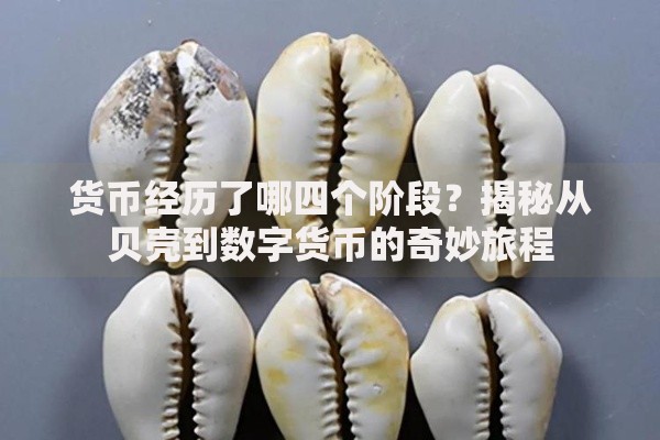 货币经历了哪四个阶段？揭秘从贝壳到数字货币的奇妙旅程