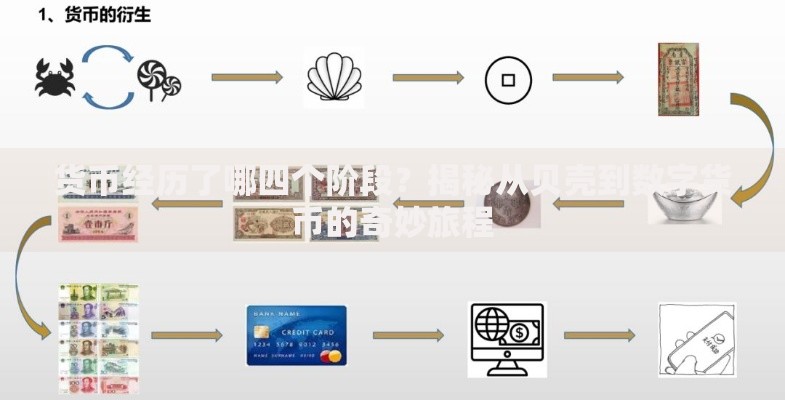 货币经历了哪四个阶段？揭秘从贝壳到数字货币的奇妙旅程