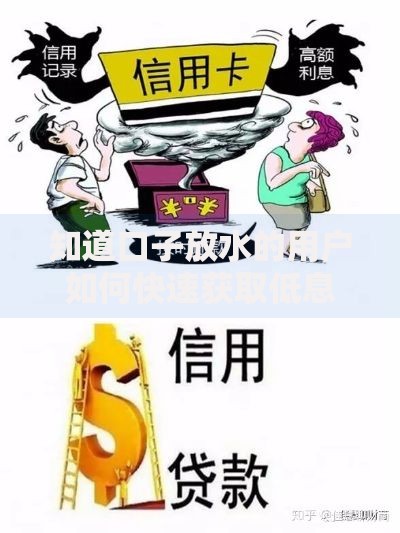 知道口子放水的用户如何快速获取低息贷款？