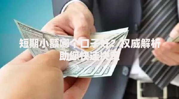 短期小额哪个口子好？权威解析助您快速决策