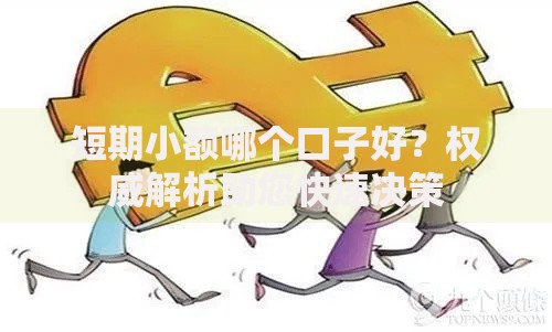 短期小额哪个口子好？权威解析助您快速决策