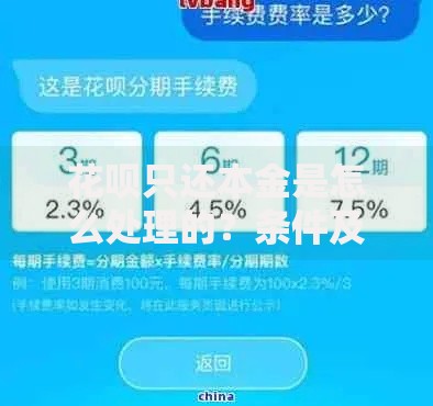 花呗只还本金是怎么处理的？条件及申请流程解析