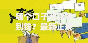 哪个口子可以拿到钱？最新正规借款渠道深度解析