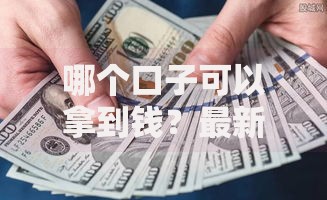 哪个口子可以拿到钱？最新正规借款渠道深度解析