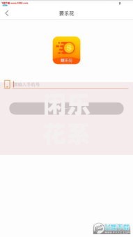 闲乐花系列口子有哪些？深度解析热门借贷产品