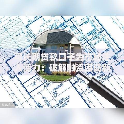 可长期贷款口子为市场注入活力：破解融资困局新路径