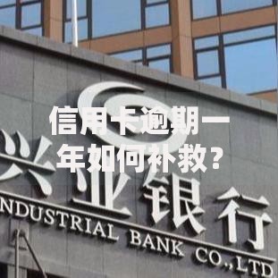 信用卡逾期一年如何补救？逾期后果与贷款影响解析