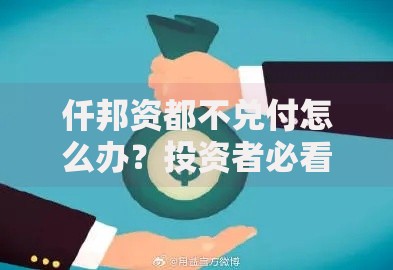 仟邦资都不兑付怎么办？投资者必看的应对策略与解决方案