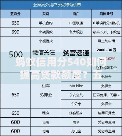 蚂蚁信用分540如何提高贷款额度？五大策略助你快速提升