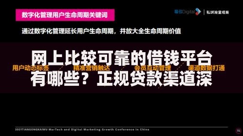网上比较可靠的借钱平台有哪些？正规贷款渠道深度解析