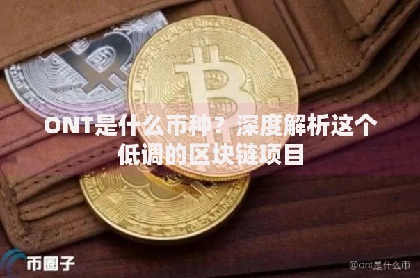 ONT是什么币种？深度解析这个低调的区块链项目