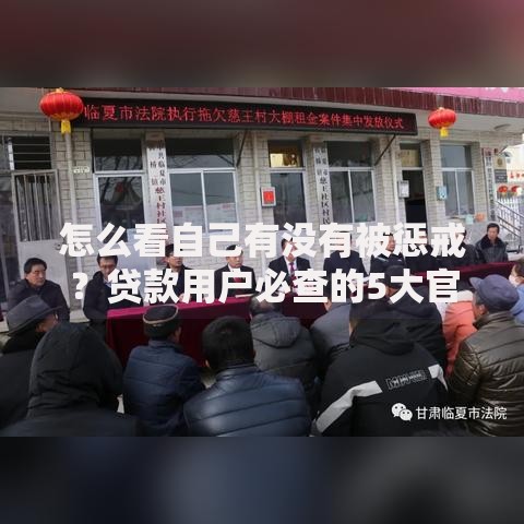 怎么看自己有没有被惩戒？贷款用户必查的5大官方渠道