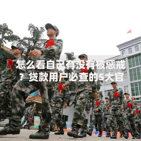 怎么看自己有没有被惩戒？贷款用户必查的5大官方渠道