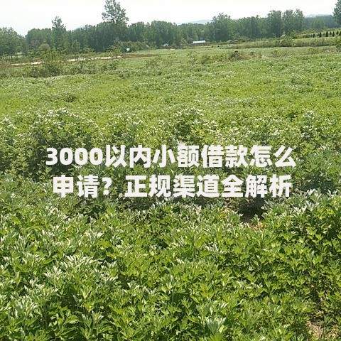 3000以内小额借款怎么申请？正规渠道全解析