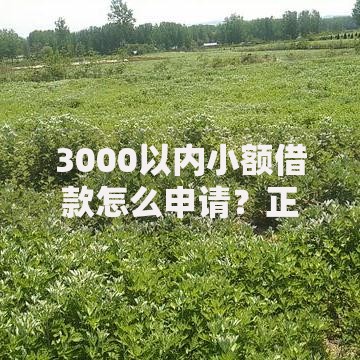 3000以内小额借款怎么申请？正规渠道全解析