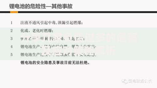 分享几家负债过多的危害及应对策略解析