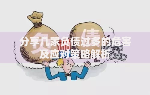分享几家负债过多的危害及应对策略解析