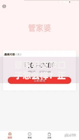 管家婆贷款口子怎么样？正规贷款渠道深度解析