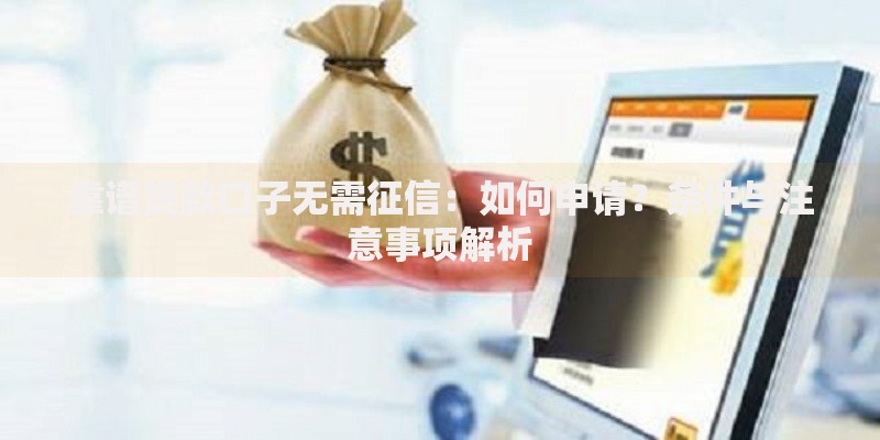 靠谱贷款口子无需征信：如何申请？条件与注意事项解析