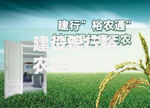 建设银行裕农通是什么？揭秘农村普惠金融服务新模式