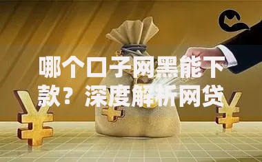 哪个口子网黑能下款？深度解析网贷风险与合规渠道