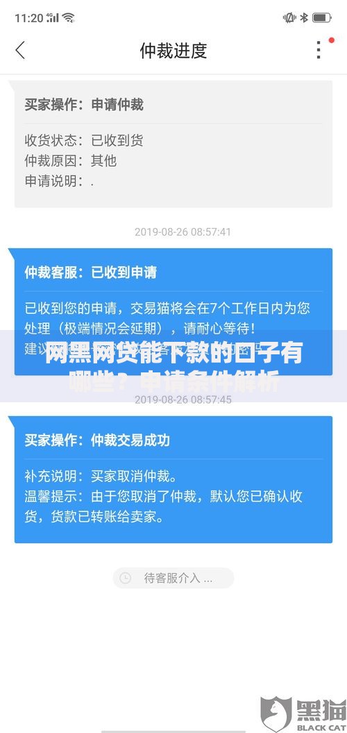 网黑网贷能下款的口子有哪些？申请条件解析