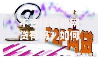 不查征信的网贷有吗？如何选择？可靠平台推荐与风险分析