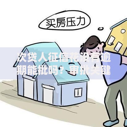 次贷人征信花没有逾期能批吗？审批关键看这三点