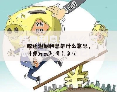 结息利息是什么意思？一文讲透它的计算方式和用途