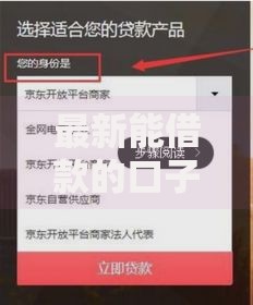 最新能借款的口子有哪些？正规平台推荐及申请攻略