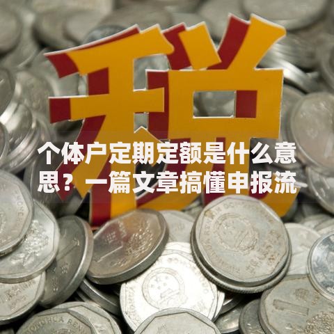 个体户定期定额是什么意思？一篇文章搞懂申报流程与省钱技巧