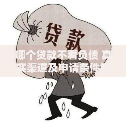 哪个贷款不看负债 真实渠道及申请条件解析