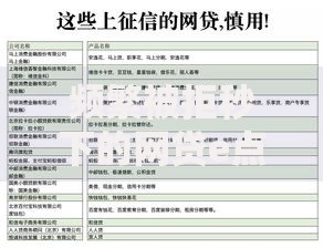 频繁被拒秒下的网贷e点贷：秒批到账的申请技巧解析