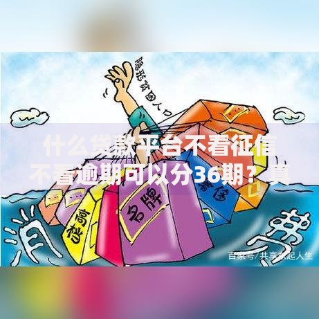 什么贷款平台不看征信不看逾期可以分36期？真实情况解析