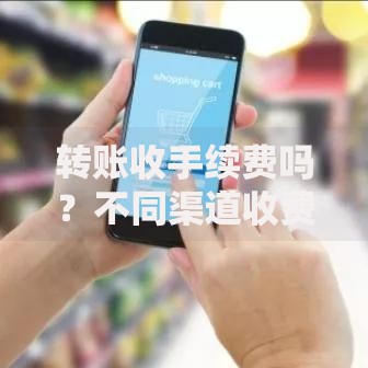 转账收手续费吗？不同渠道收费标准大揭秘