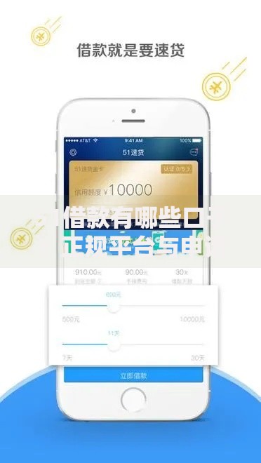 51借款有哪些口子？正规平台与申请条件解析