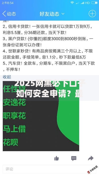 2025网黑必下口子如何安全申请？最新攻略解析