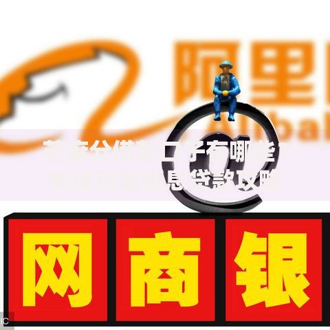 芝麻分借款口子有哪些？快速获取低息贷款攻略