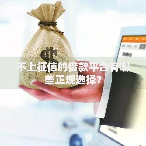 不上征信的借款平台有哪些正规选择？