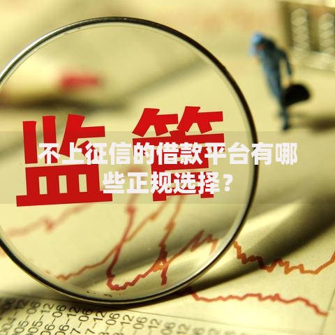 不上征信的借款平台有哪些正规选择？