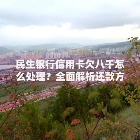 民生银行信用卡欠八千怎么处理？全面解析还款方案与应对策略