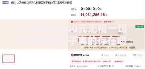 2025年1000元无视一切必下款的口子真的存在吗？深度解析